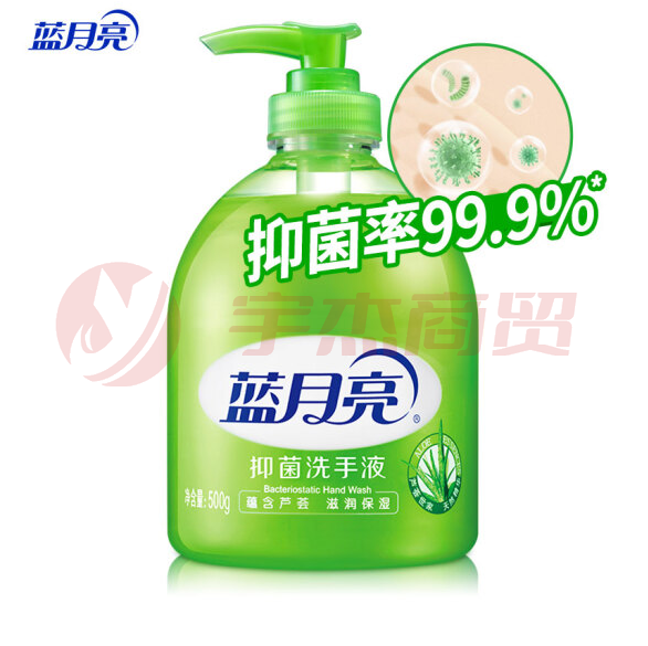 蓝月亮洗手液 芦荟抑菌 500g/瓶