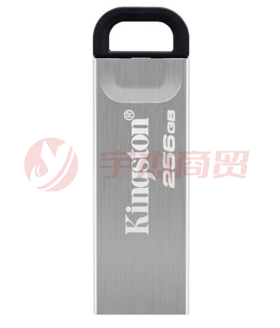 金士顿 256GB USB 3.2 Gen 1 U盘 DTKN 金属外壳 读速200MB/s