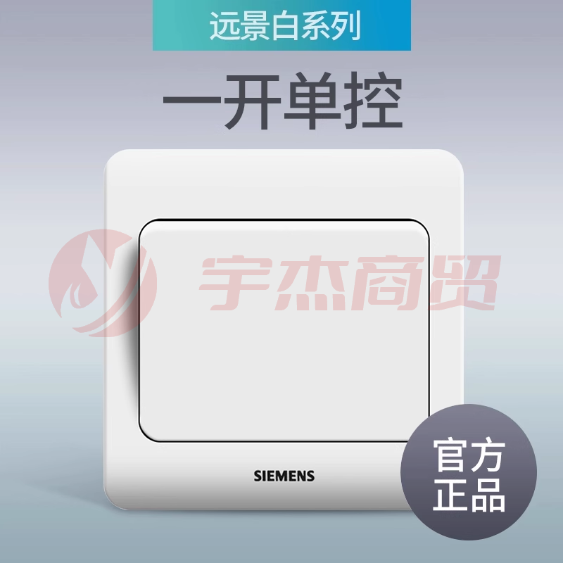 西门子（SIEMENS）开关面板 一开单控带荧光面板 86型暗装墙壁面板 致典雅白色 5TA1412-3NC01